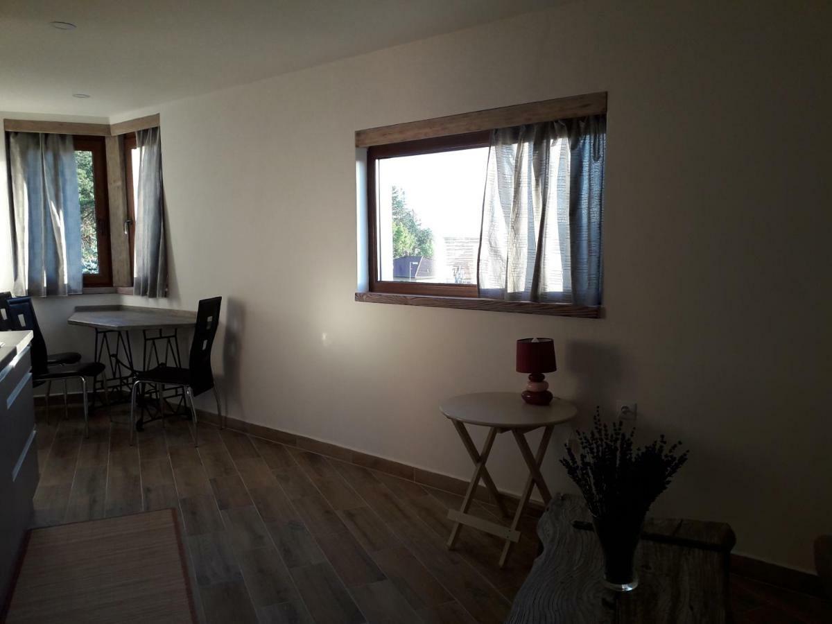 Příbram Apartman Na Horach מראה חיצוני תמונה